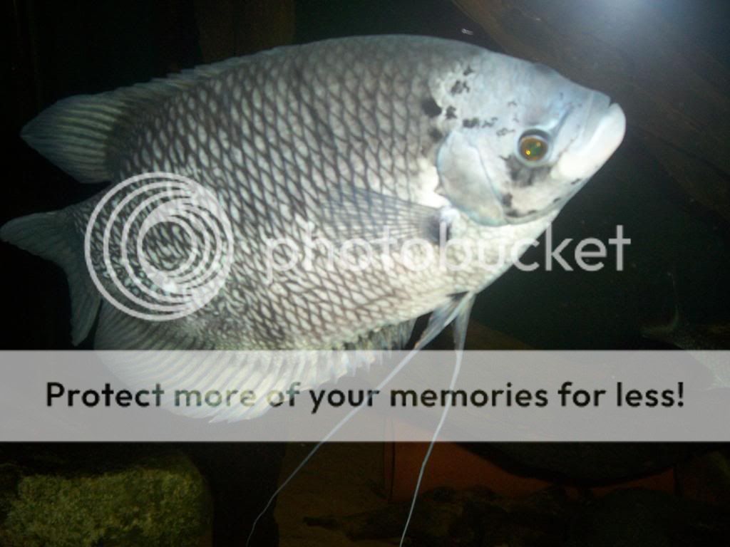 100_2160.jpg