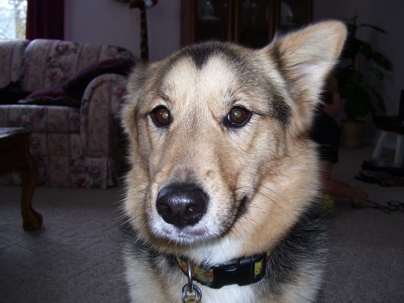 000_0023.jpg
