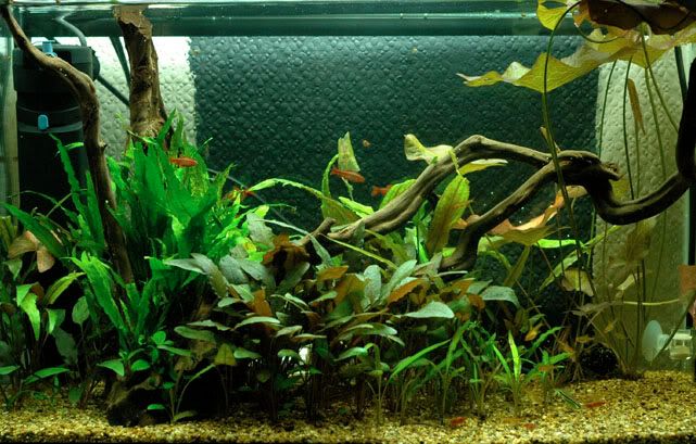 FTS.jpg