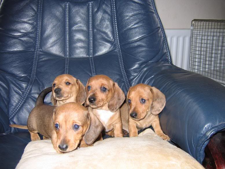 6weeksold003.jpg