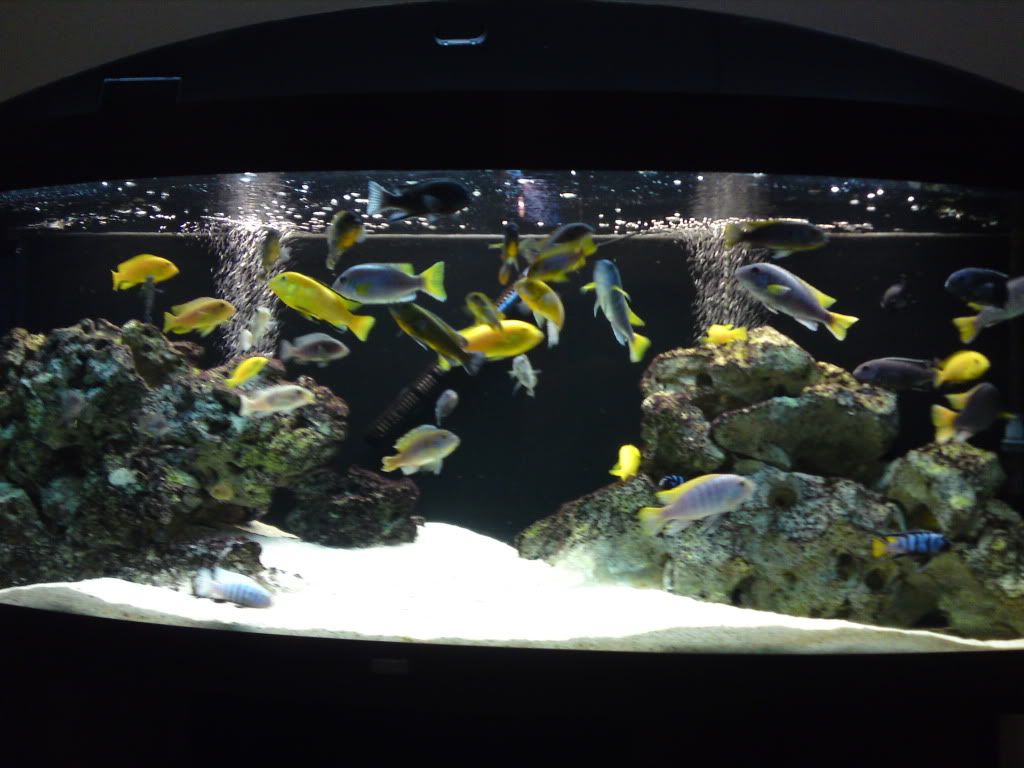 fish042.jpg