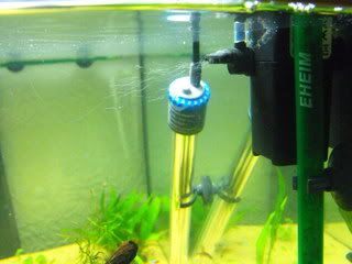 2010_0709NTD0006.jpg