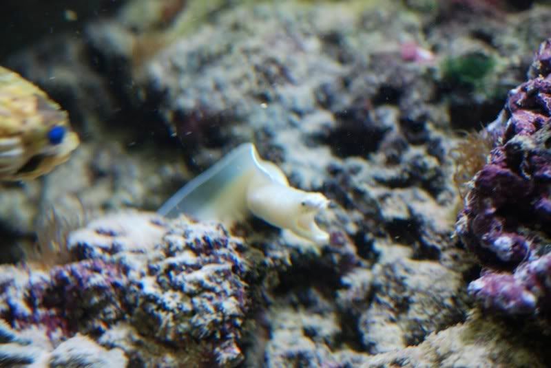 DSC_7218.jpg