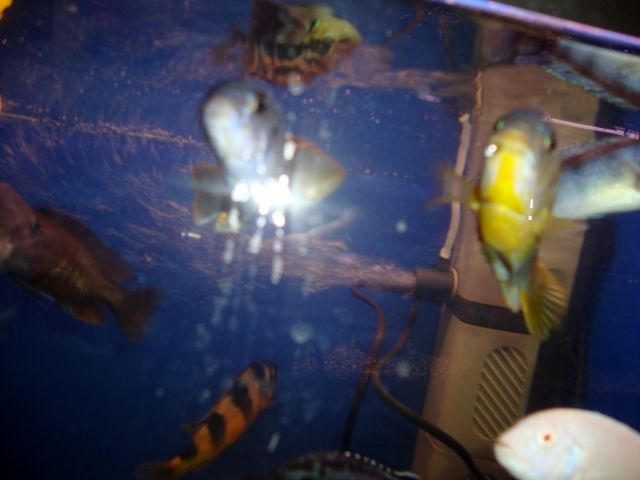 DSC01359.jpg