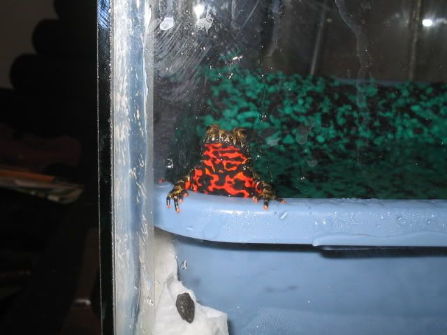 Picture001.jpg