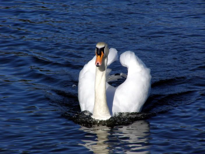 P3050022_edited.jpg