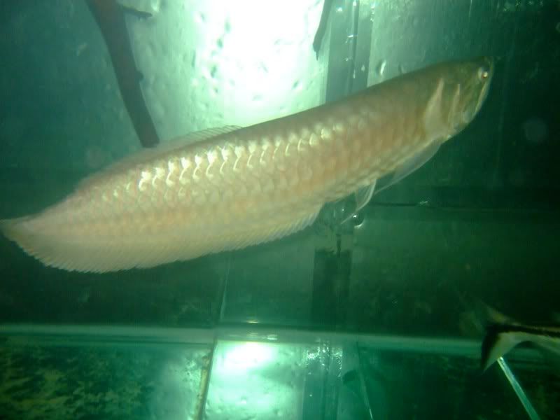 DSCF2492.jpg