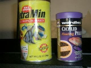 Picture073.jpg