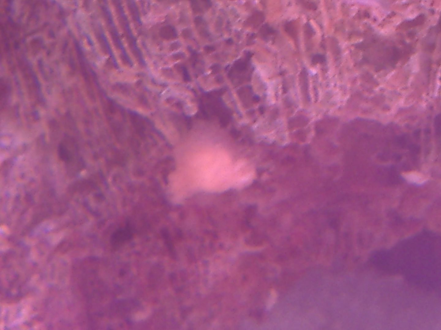 DSCF0388.jpg