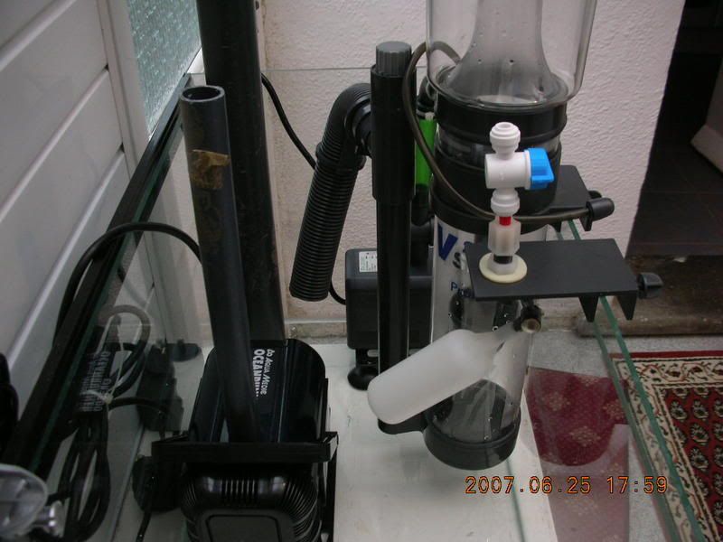 DSCN1788.jpg