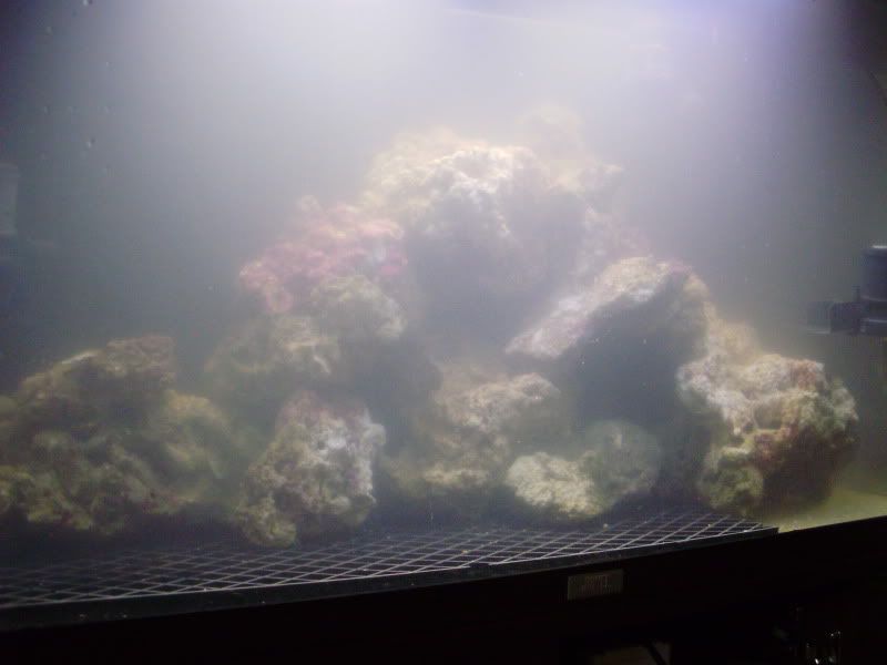P9100031.jpg