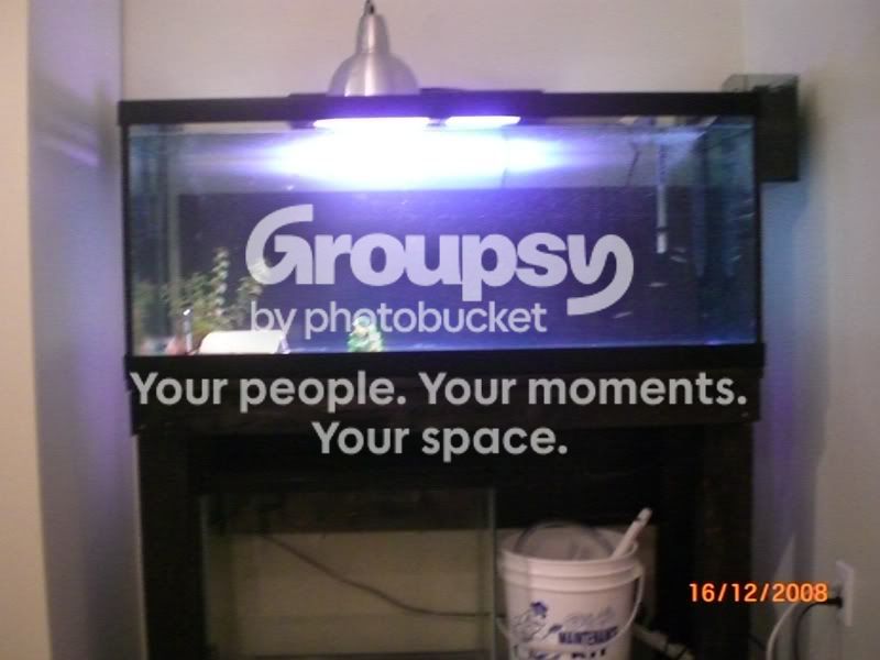 75gallon042.jpg