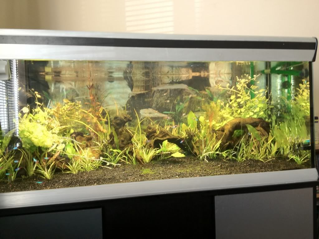 photo2.jpg