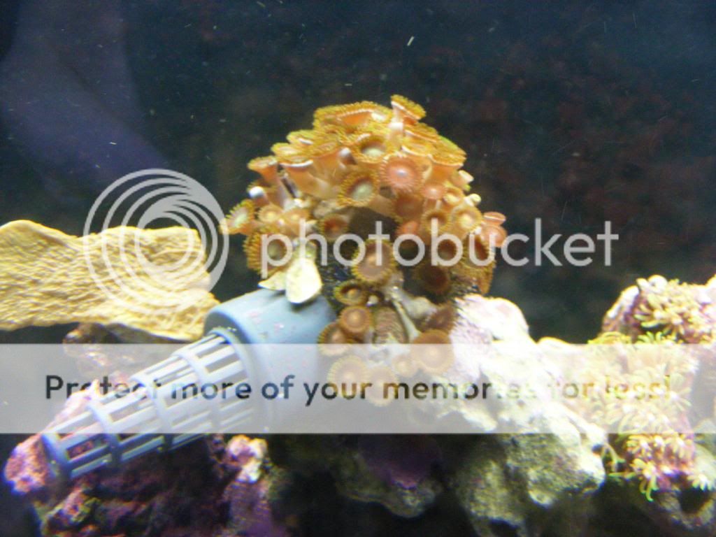 DSCF2847.jpg