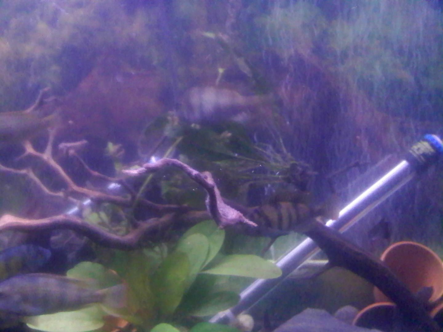 0520090106a.jpg