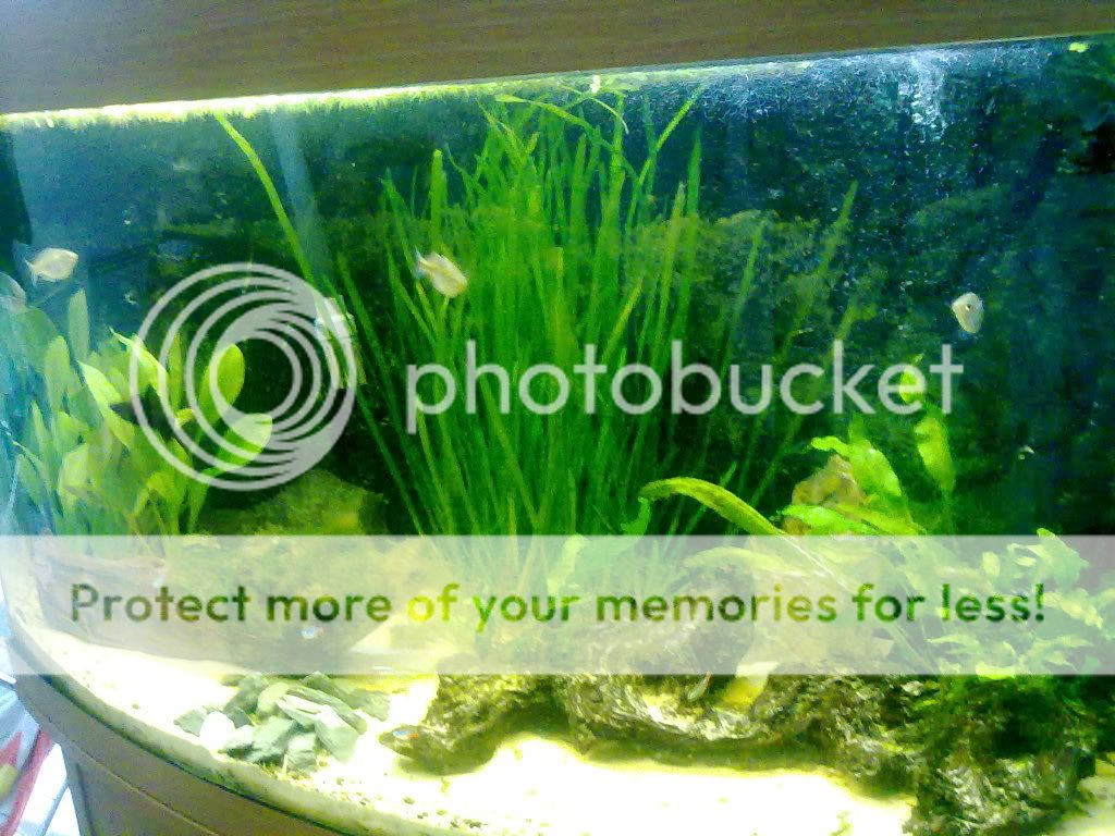 11072009066.jpg