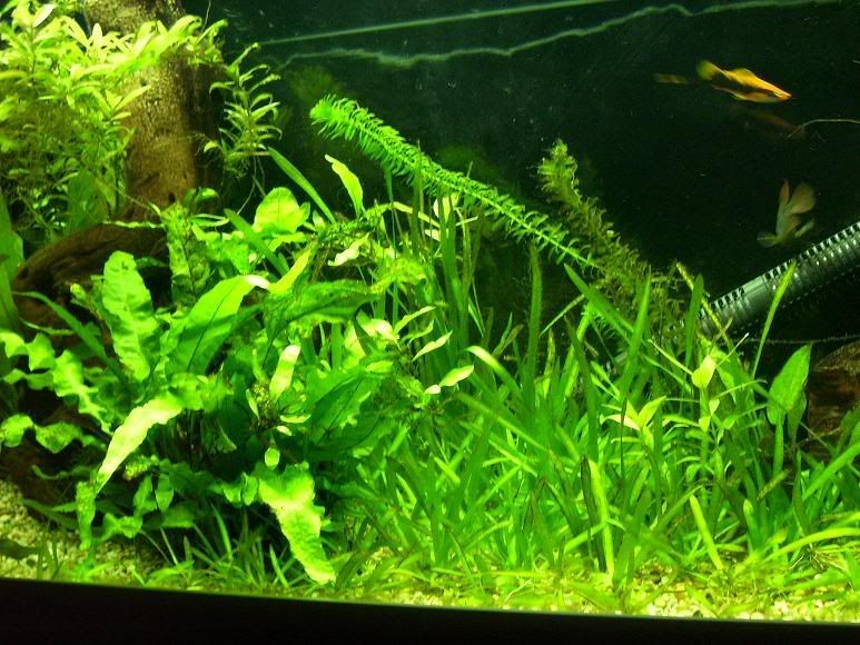 100_0643.jpg