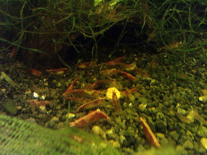 DSC00110-1.jpg