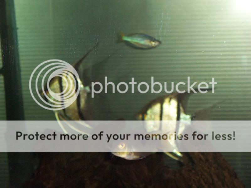 100_6024.jpg