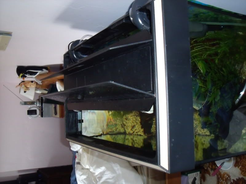 DSCF1890.jpg