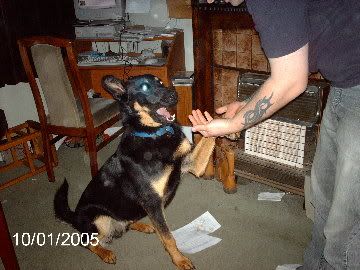 Typaw.jpg
