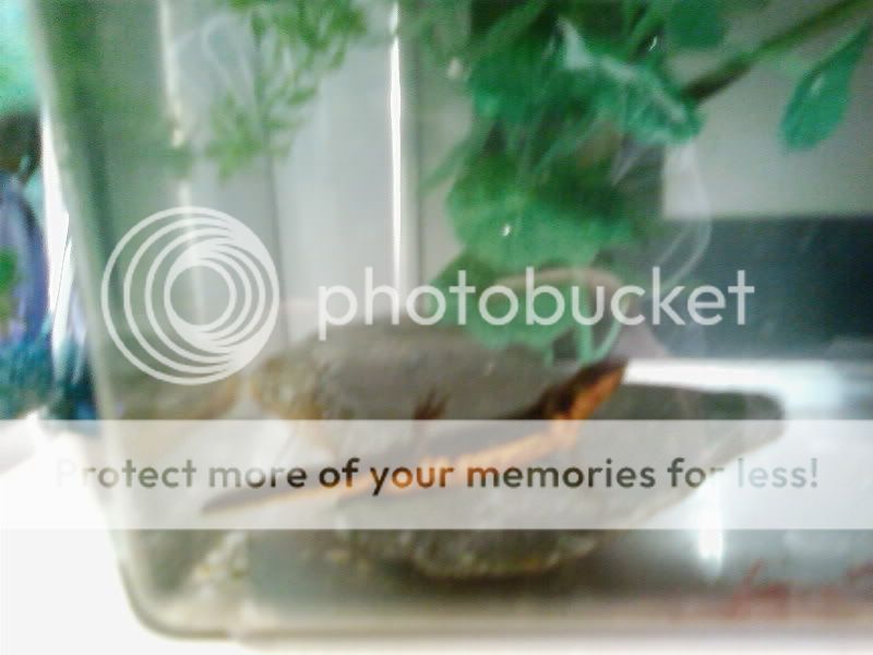 SP_A0098.jpg