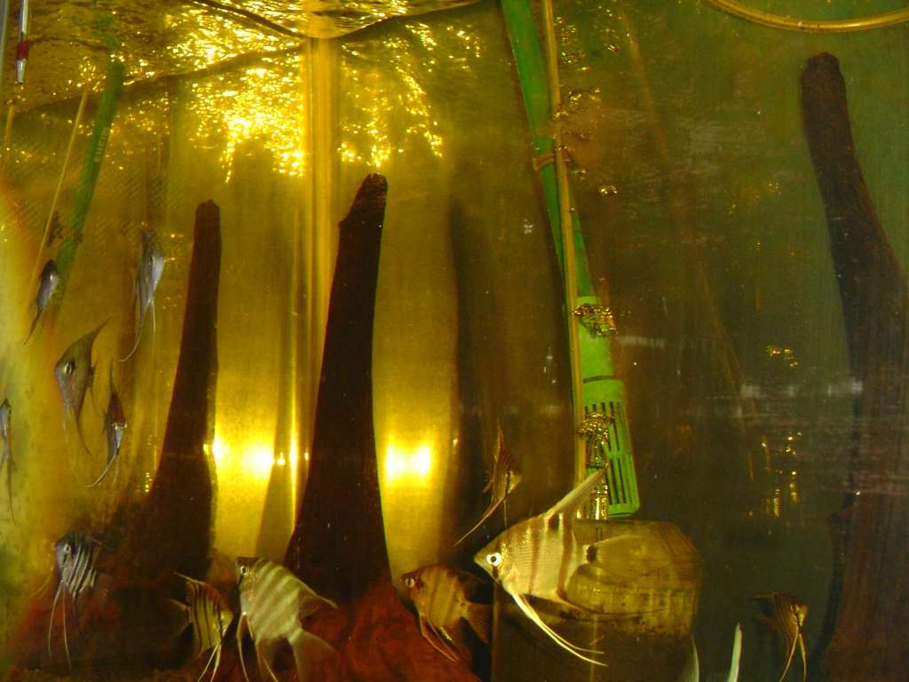 dsc023221.jpg