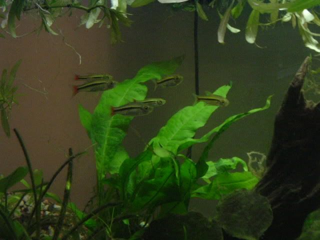 DSCF0777.jpg