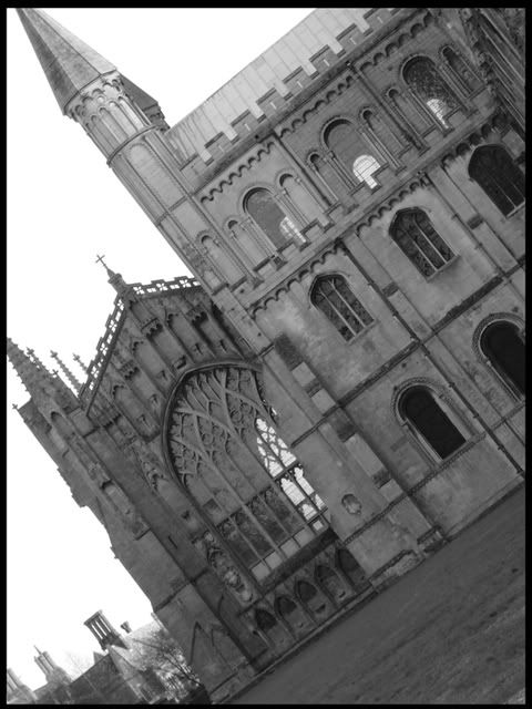 ely-1.jpg