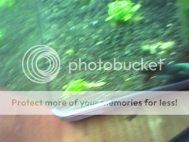Image_00054-1.jpg