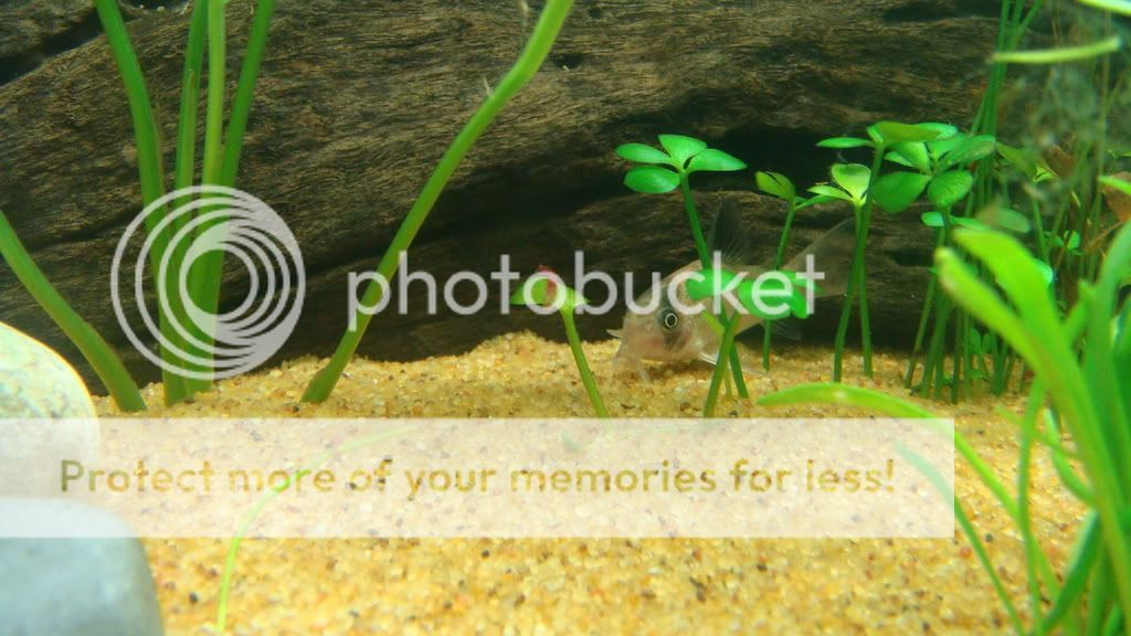 DSC00230.jpg