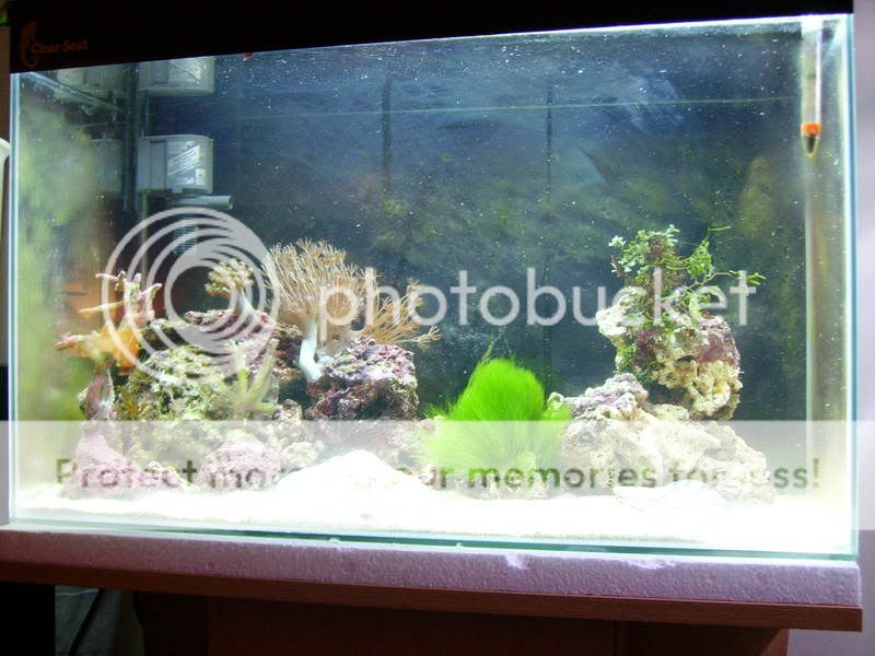 FTS.jpg