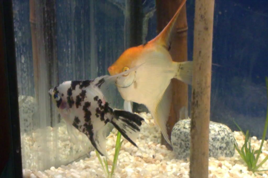 28102010144.jpg