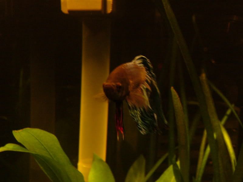 P1010669.jpg