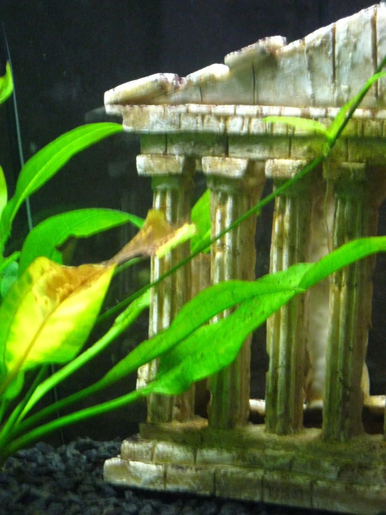 IMG_1978.jpg