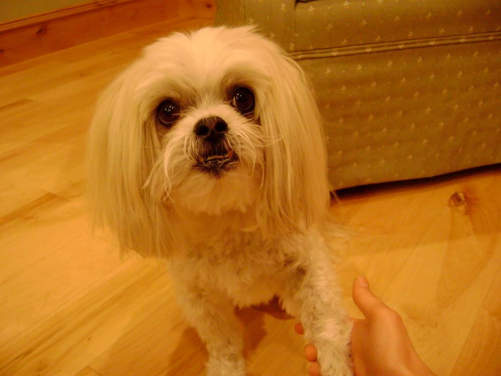 DSC02212.jpg