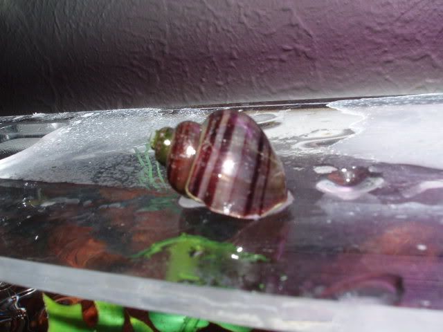 1ec34265.jpg