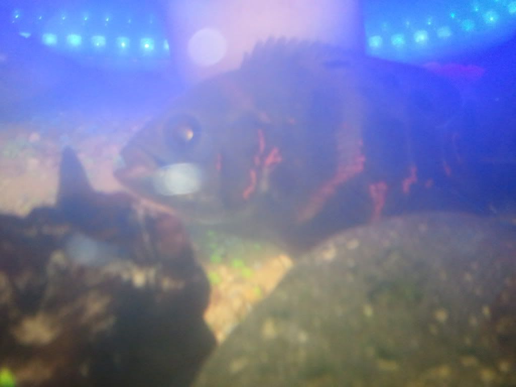 WP_000756.jpg