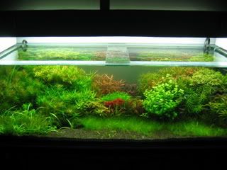 Picture008-1.jpg