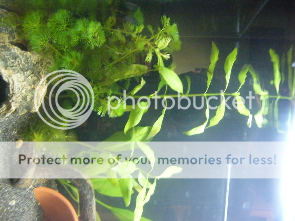 DSCF4301.jpg