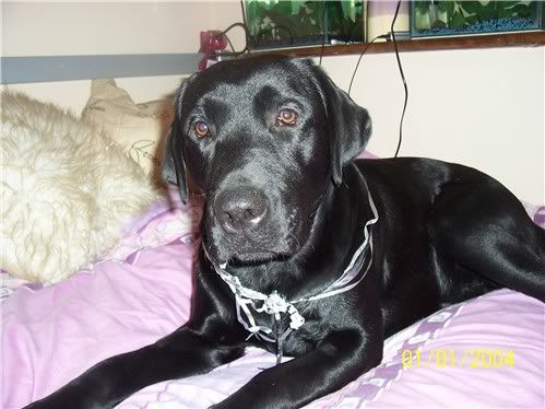 20060601ry4.jpg