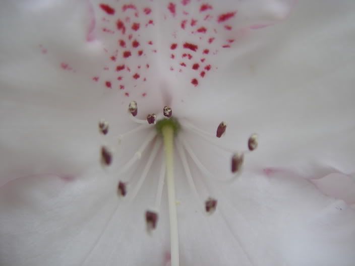 exburygardens003.jpg