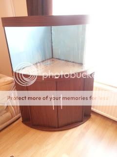 20120921_164204_zpsdddb304a.jpg
