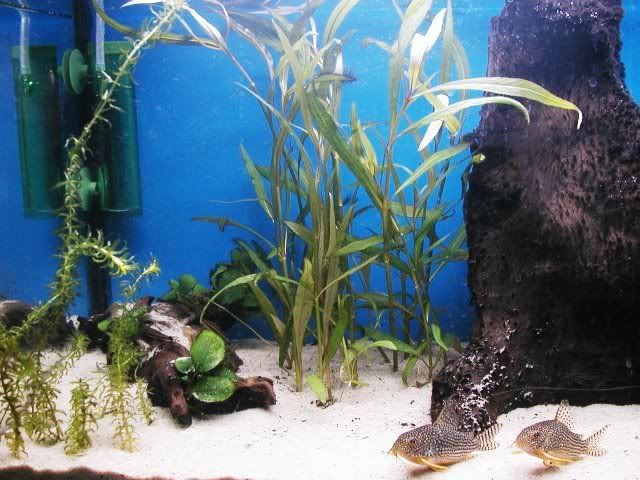 Picture001.jpg