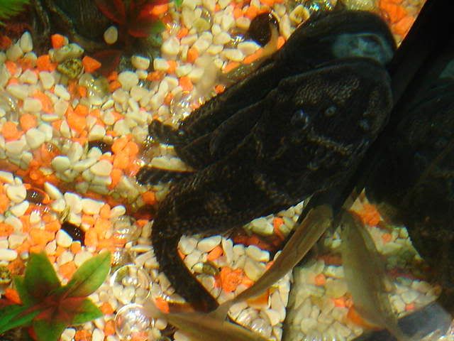 DSC03402.jpg