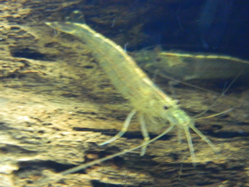 DSCN0884.jpg