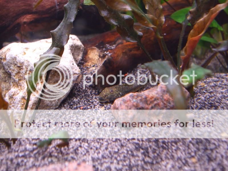 DSCF2084.jpg