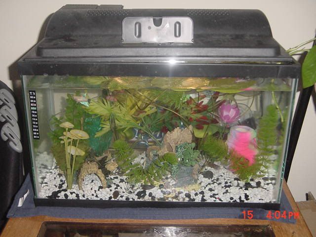 DSC00295.jpg