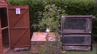 theshed001.jpg
