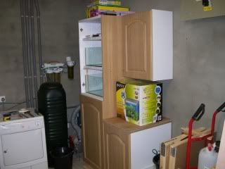 Picture566-1.jpg